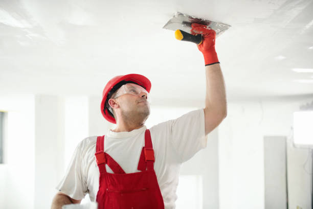 Trusted Livonia, MI Drywall & Painting Services Experts